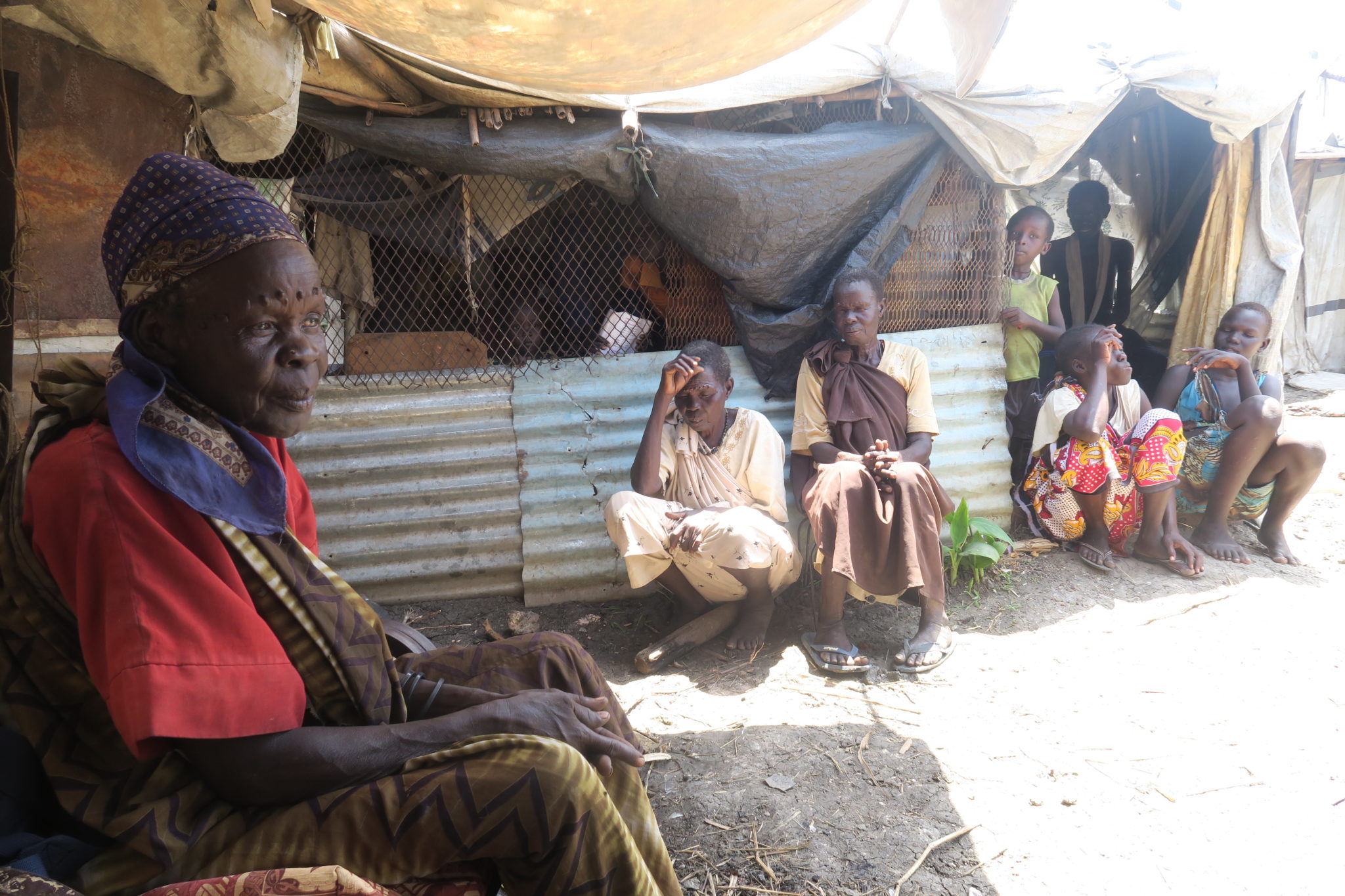 South Sudan – “It was as if my village was swept by a flood” – mass displacement of the Shilluk population from the west bank of the White Nile
