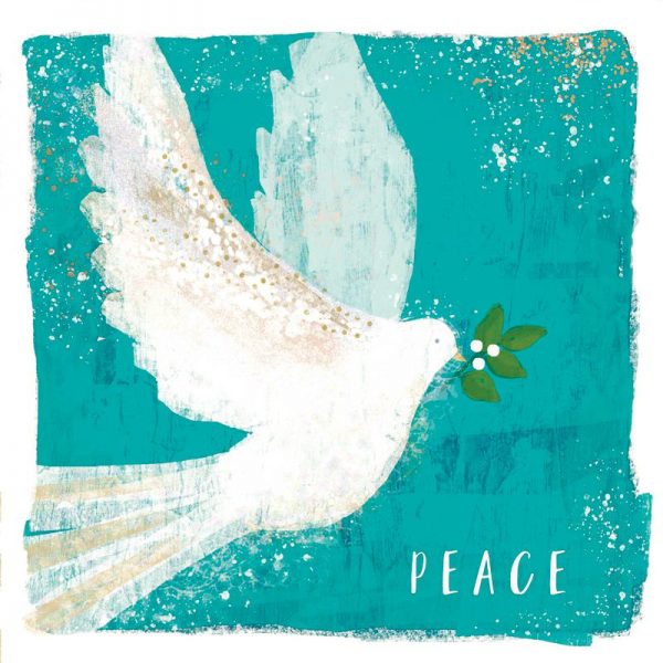 PeaceDove - Amnesty International Ireland